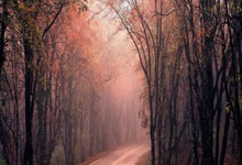 CCTV5今天节目表都有啥？这份观赛指南帮你精准锁定精彩赛事！