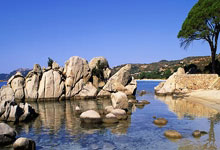 布鲁日是一座怎样的城市？